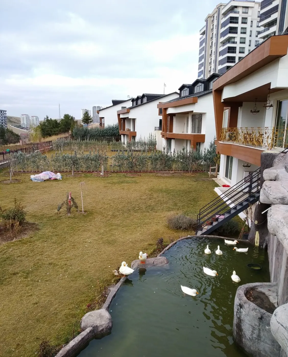 Villa bahçesinde süs havuzu
